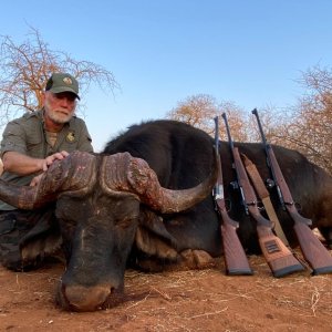 Buffalo Hunting South Africa