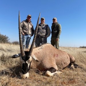 Gemsbok Hunting South Africa