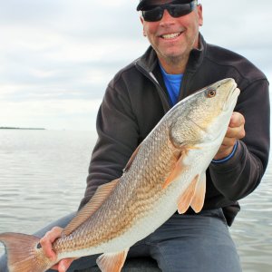 Fishing Redfish Florida Bay