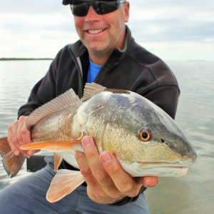 Fishing Redfish Florida Bay