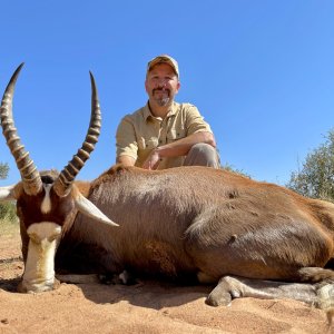 Blesbok Hunting Northern Cape South Africa