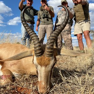 Springbok Hunting Northern Cape South Africa