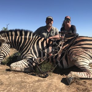 Burchell's Plains Zebra Hunt South Africa