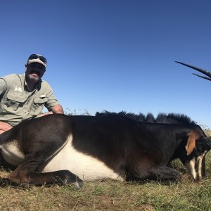 Sable Hunt South Africa