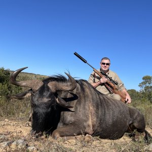 Blue Wildebeest Hunt