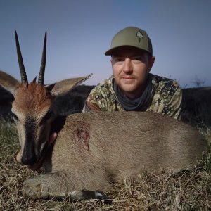 Duiker Hunt South Africa