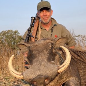 Big Warthog - C9 Mozambique