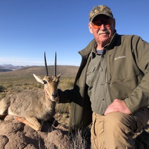 Reedbuck Hunt Karoo South Africa