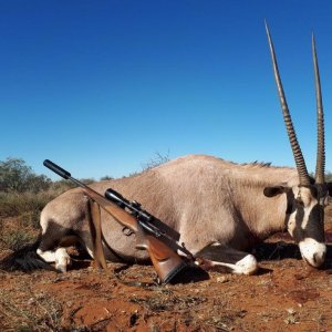 Gemsbok Hunt Northern Cape South Africa