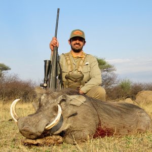 Warthog Hunting South Africa