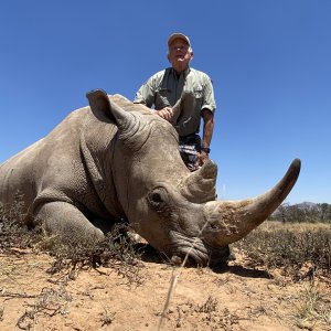White Rhino Hunt Eastern Cape South Africa