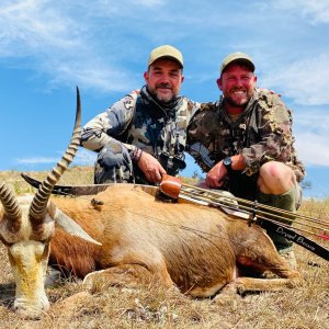 Blesbok Bowhunt Eastern Cape South Africa
