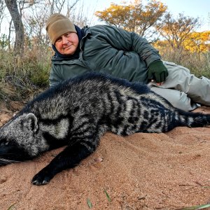 Civet Hunting South Africa