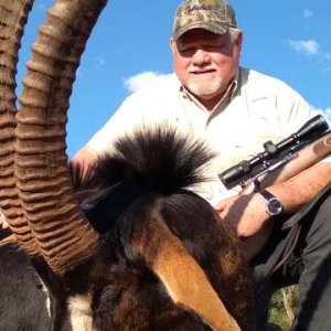 Sable Hunt North West Province South Africa