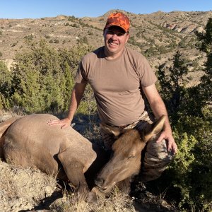 Elk Cow Hunt Wyoming