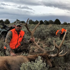 Hunting Elk Utah