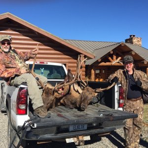 Hunting Elk Montana