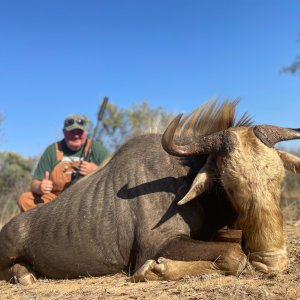 Golden Wildebeest Hunt South Africa