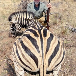 Burchell's Plains Zebra Hunt South Africa