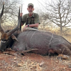 Nyala  Hunt South Africa