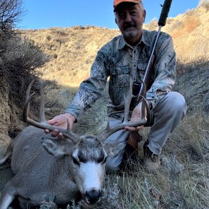 Mule Deer Hunt Wyoming