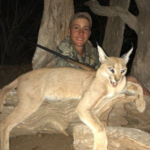 Caracal Hunting South Africa