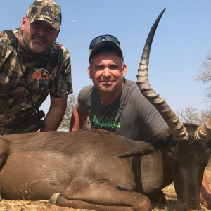 Black Impala Hunting South Africa