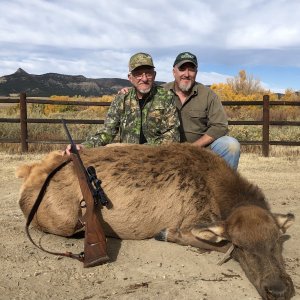 Elk Cow Hunting Raton New Mexico