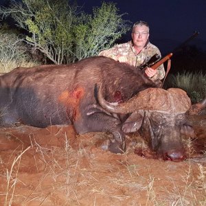 43 Inch Buffalo Hunt South Africa