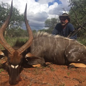 29 Inch Nyala Hunt South Africa