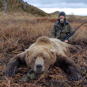 Brown Bear Hunt Alaska