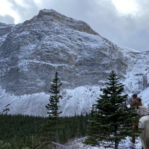 Scenery Alberta Canada