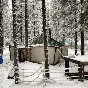 Tented Camp Alberta Canada