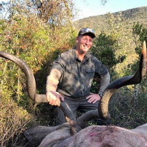 Hunting Kudu Eastern Cape South Africa