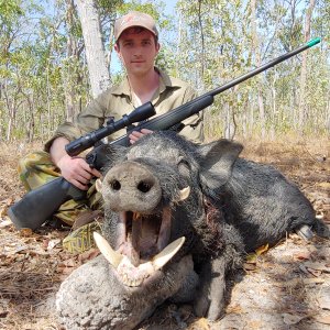 Wild Boar Hunting