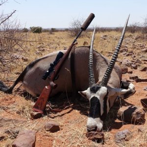 Gemsbok Hunt Namibia