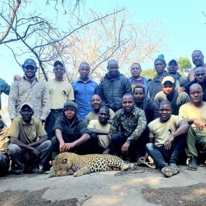 Leopard Hunting Tanzania