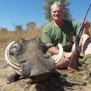 Warthog Hunt Zimbabwe