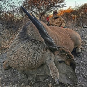 Eland Hunting South Africa