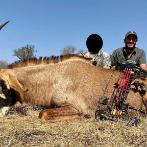 Roan Bow Hunt South Africa