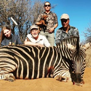 Zebra Hunting South Africa