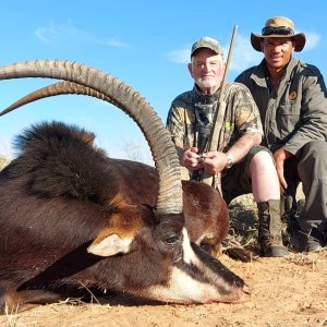 Sable Hunting Kalahari South Africa