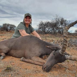 Black Impala Hunt Northern Cape South Africa