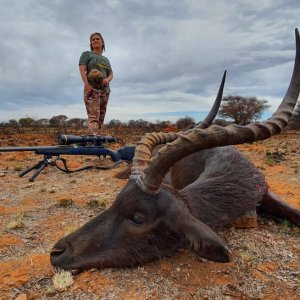 Black Impala Hunt Northern Cape South Africa