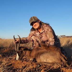 Black Springbok Hunt Northern Cape South Africa