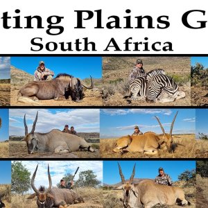 Hunting South Africa With Huntershill Safaris