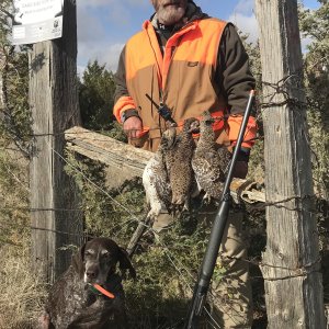 Bird Hunt Montana