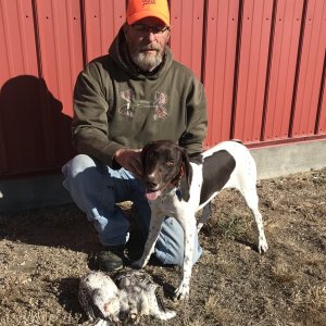 Sharp-Tailed Grouse Hunt