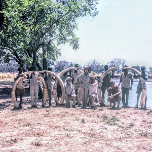 Elephant Safari With Peter Capstick 1969