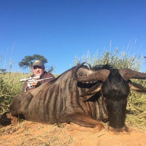 Handgun Hunting Blue Wildebeest Kalahari South Africa